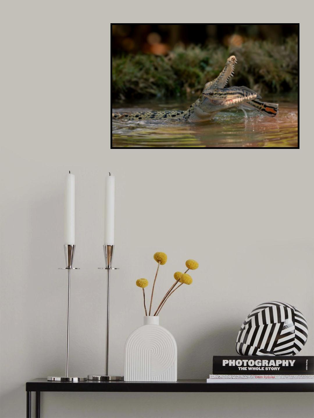 Poster och Canvastavla
