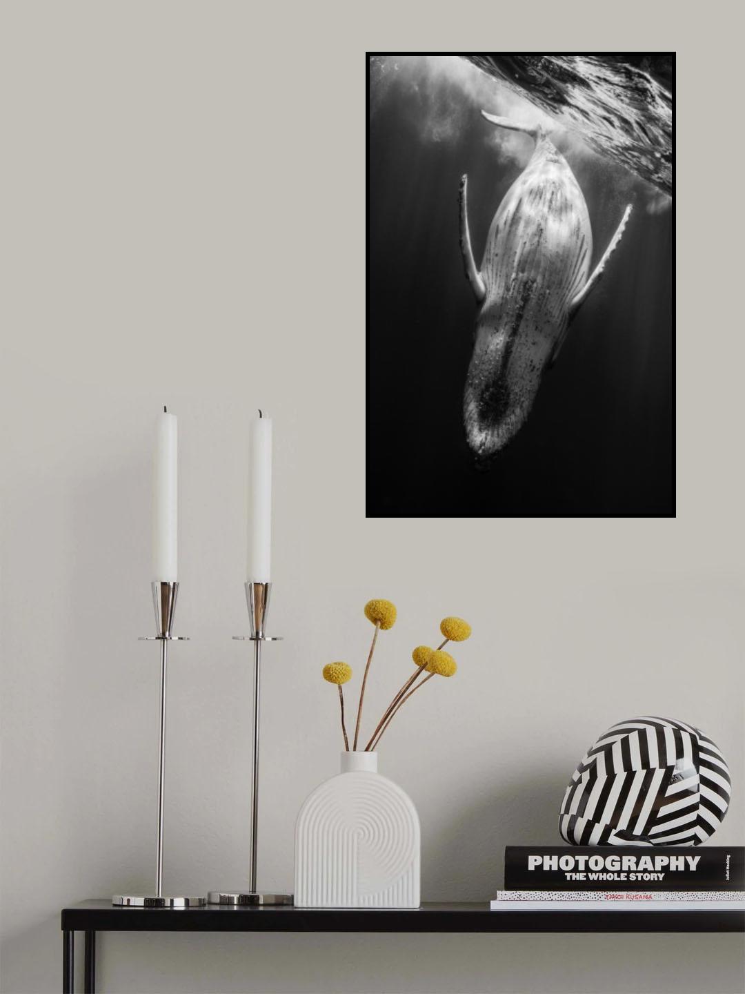 Black & Whale Poster och Canvastavla