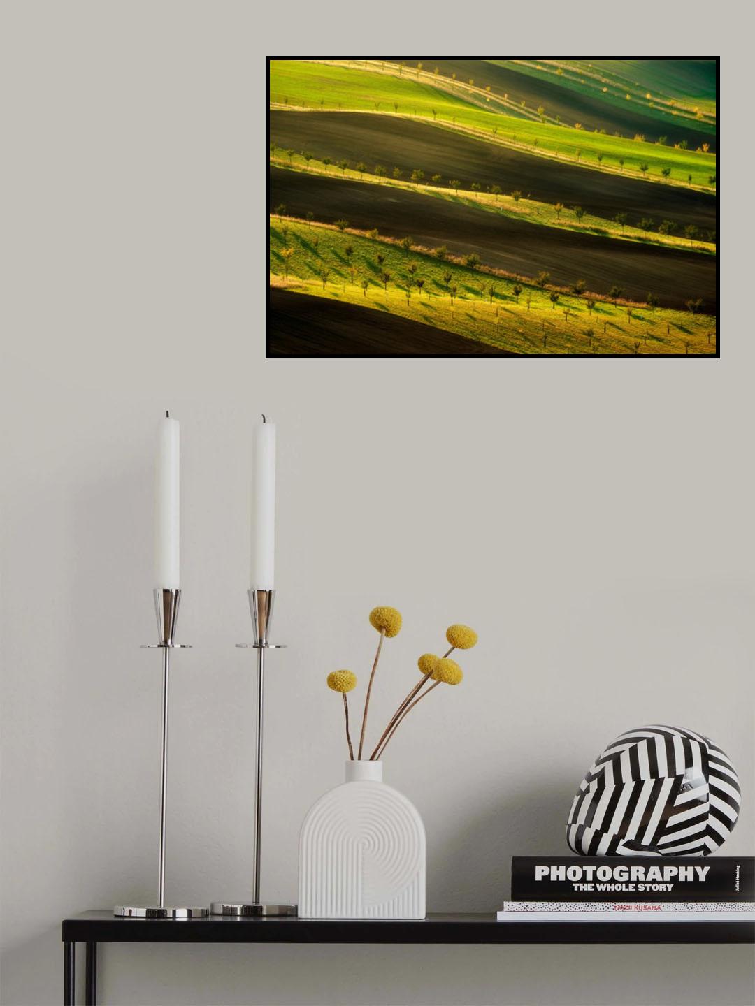 Moravian ribbon Poster och Canvastavla