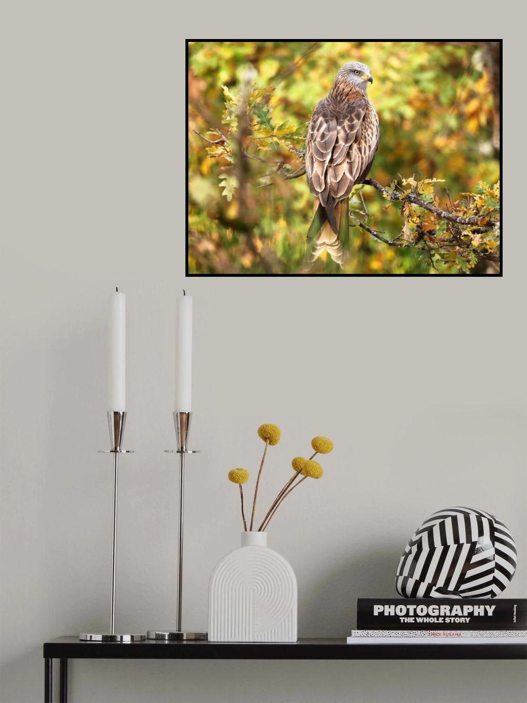 Autumn kite Poster och Canvastavla