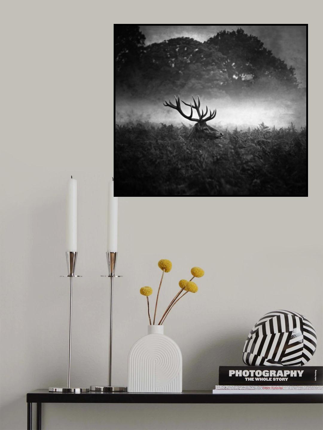 vVv Poster och Canvastavla