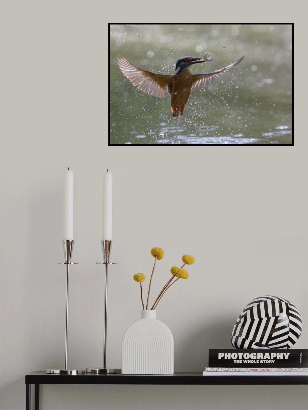 backlight Poster och Canvastavla