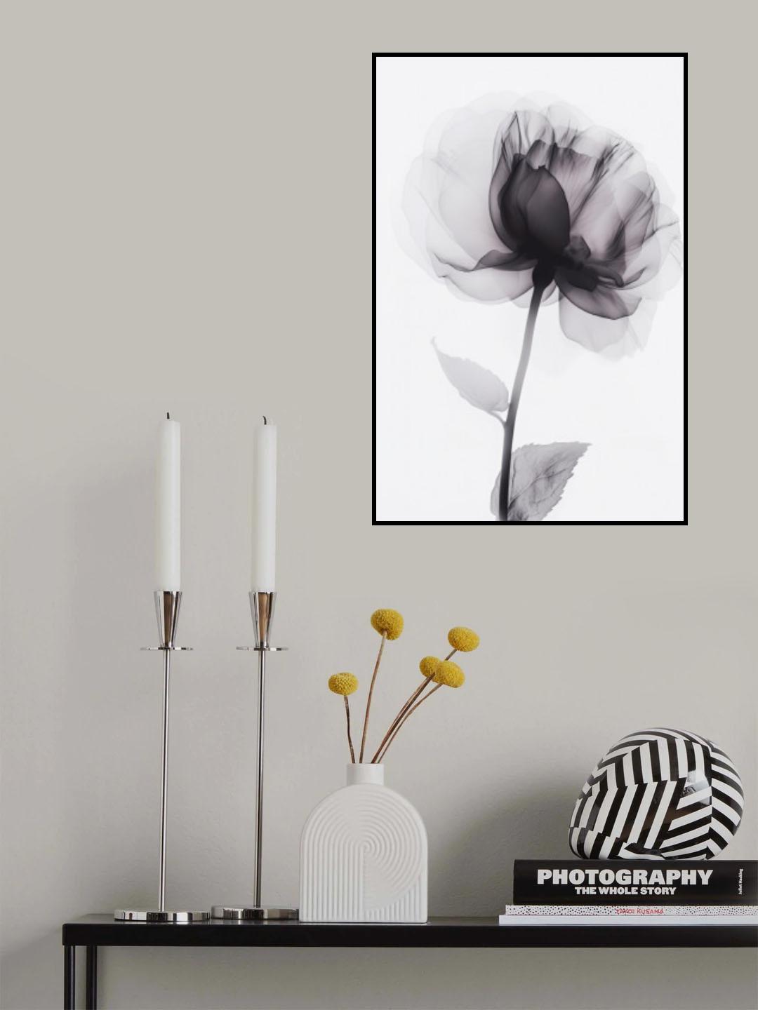 X Ray 3 Poster och Canvastavla