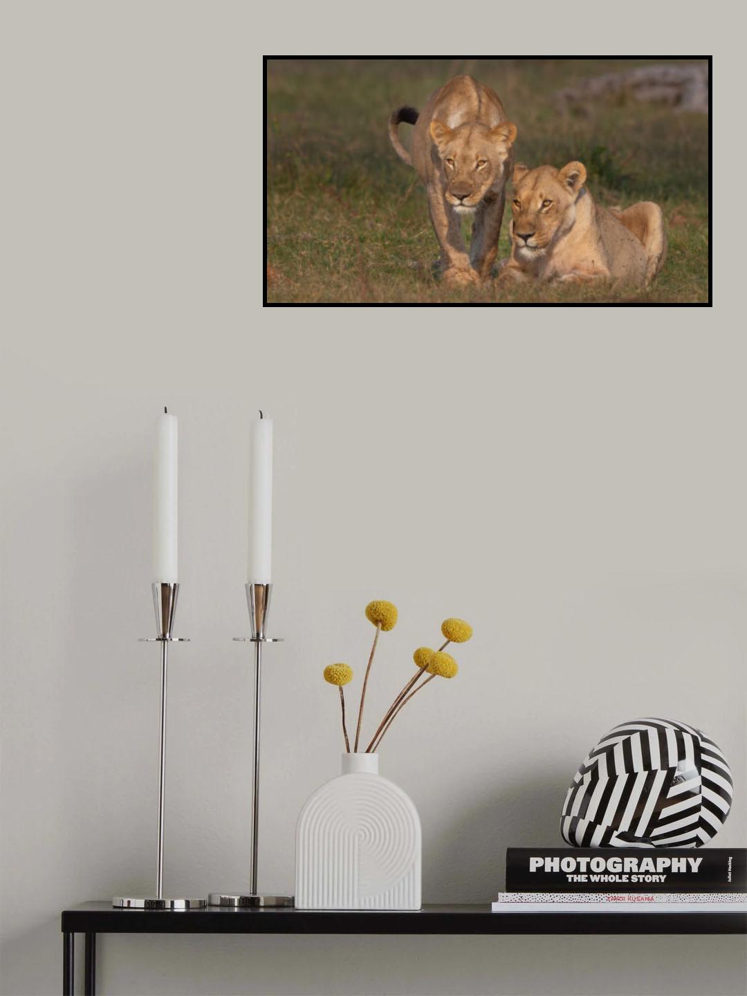 sister love Poster och Canvastavla