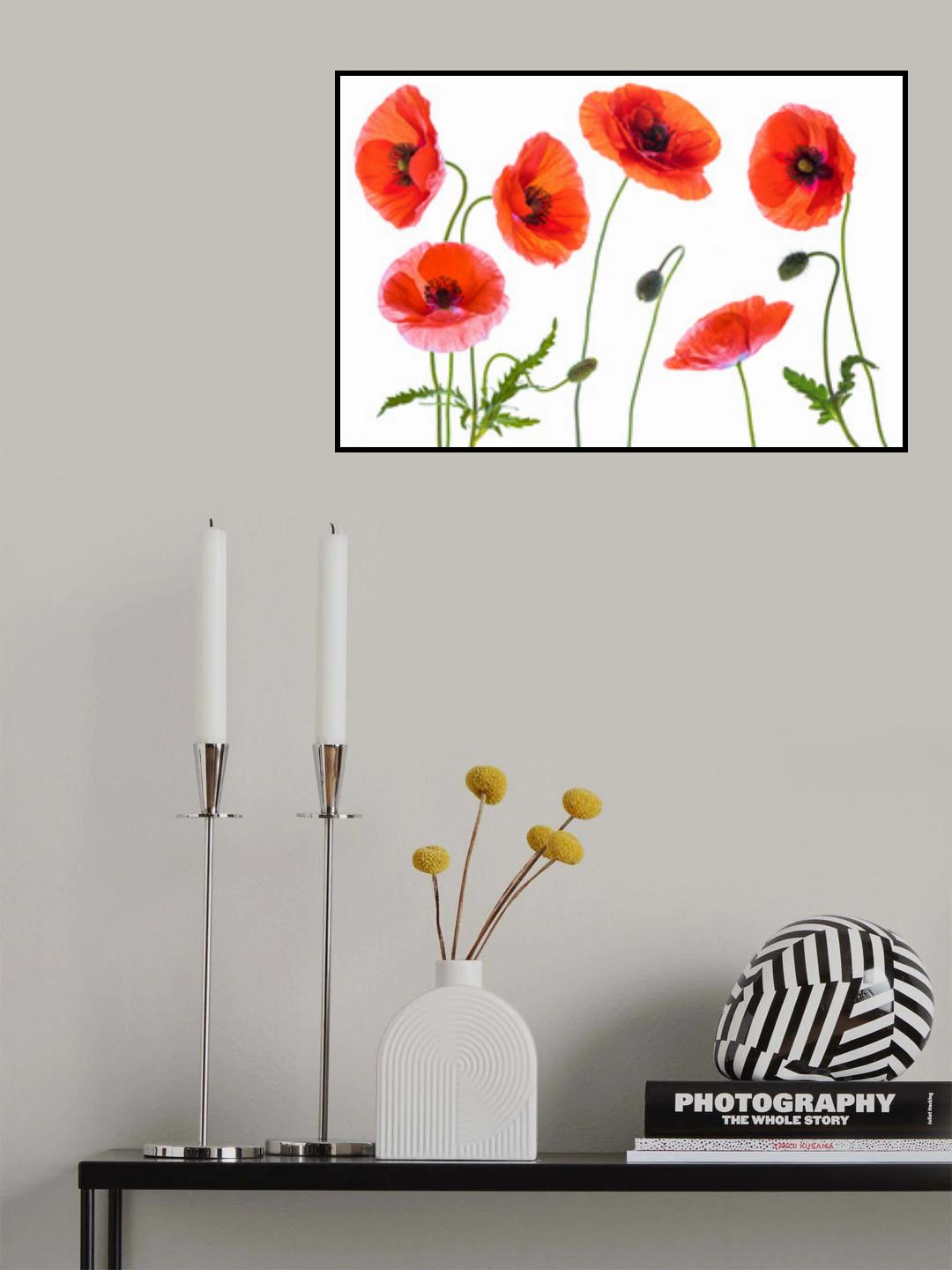 Red Poster och Canvastavla