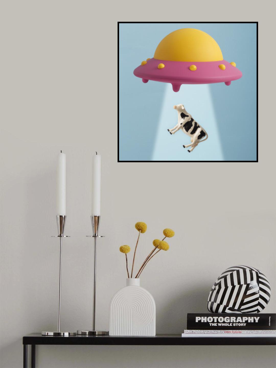 Abducted Cow Poster och Canvastavla
