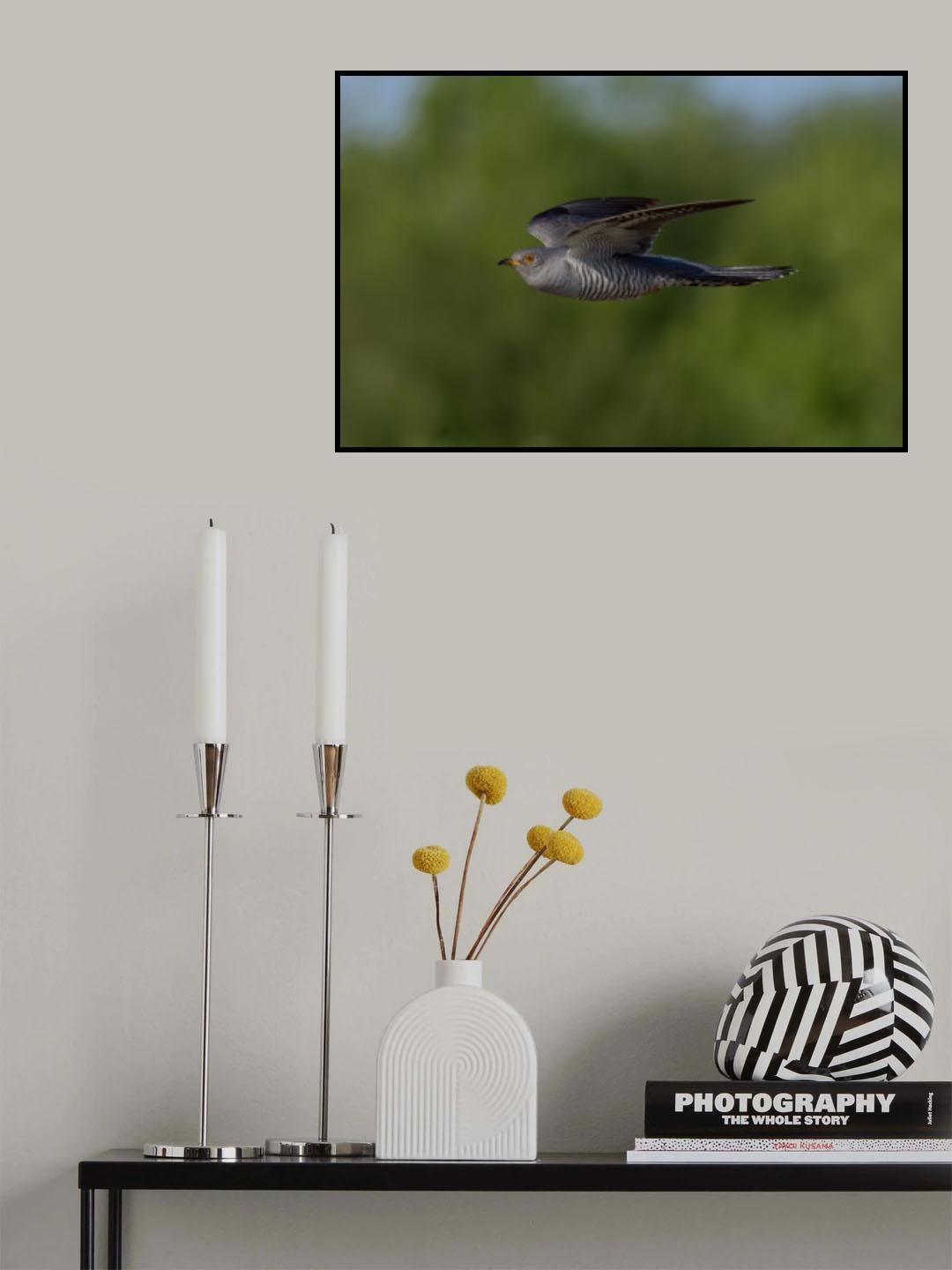 Cuculus canorus Poster och Canvastavla