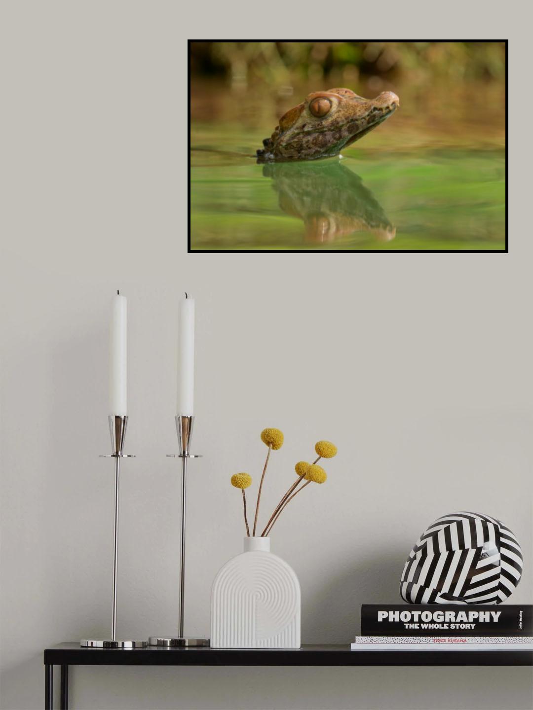 baby croc Poster och Canvastavla