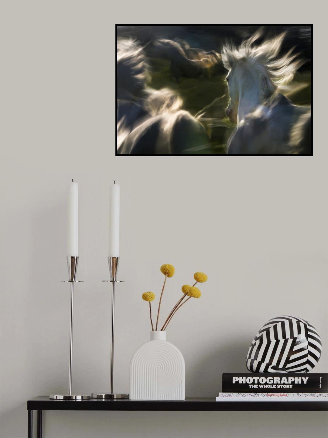 esata equina Poster och Canvastavla