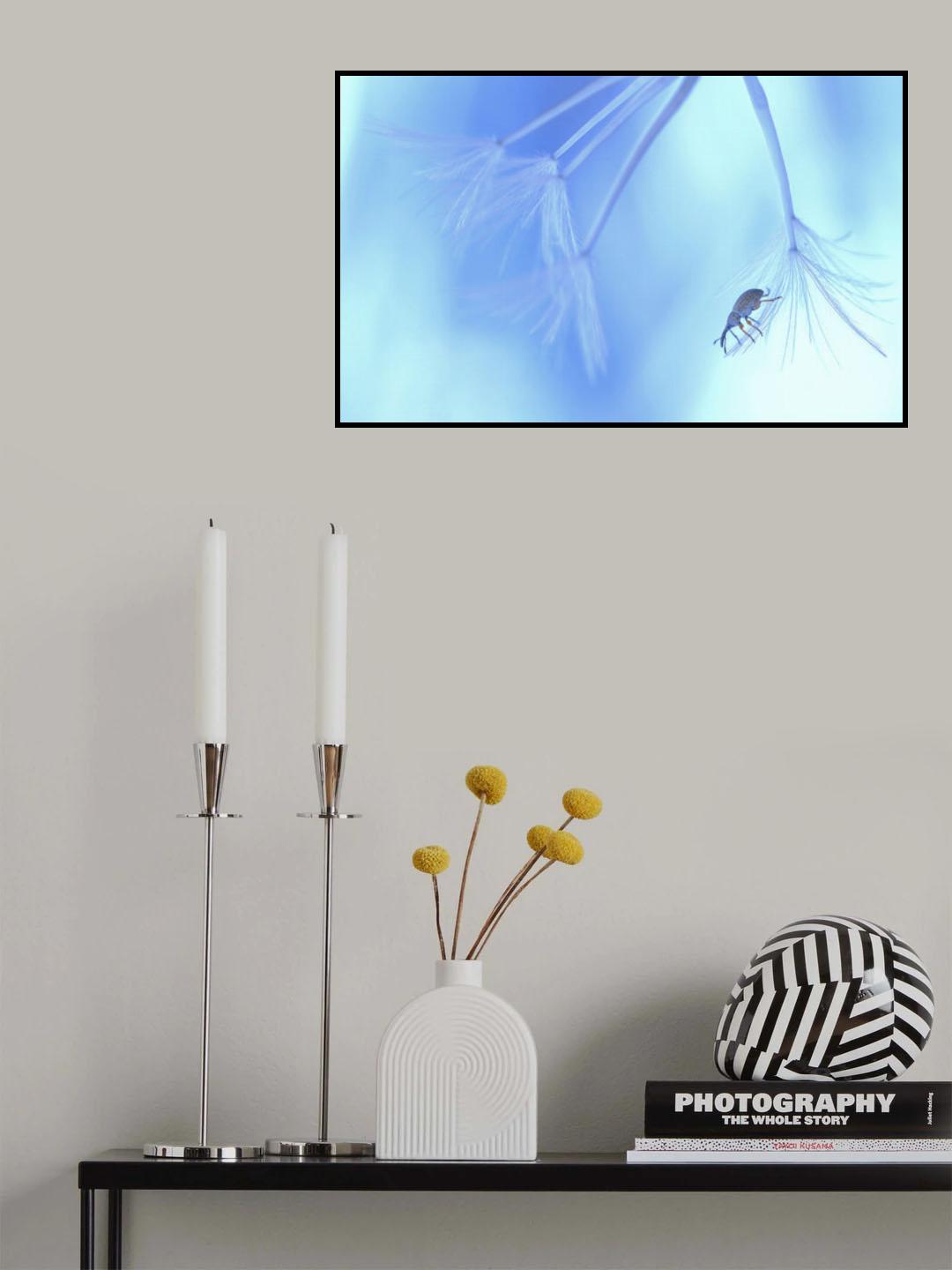 Featherweight... Poster och Canvastavla