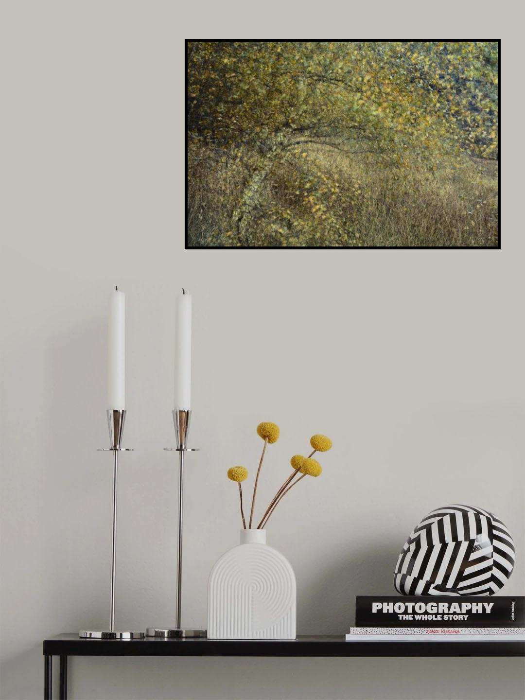 Motion tree Poster och Canvastavla