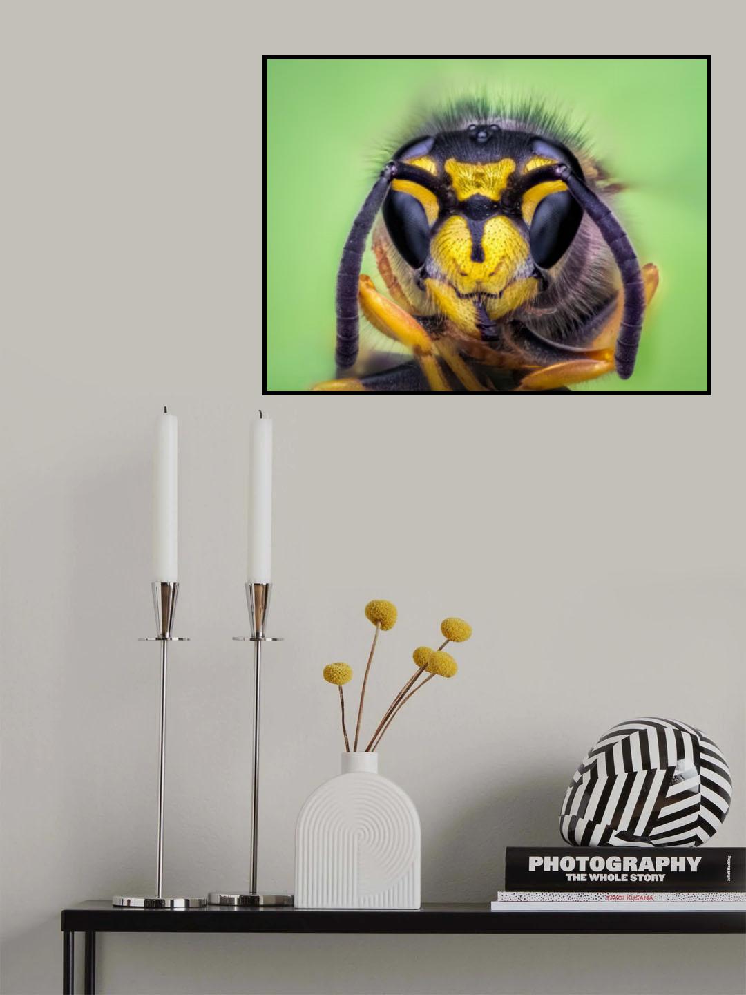 Yellow jacket Poster och Canvastavla