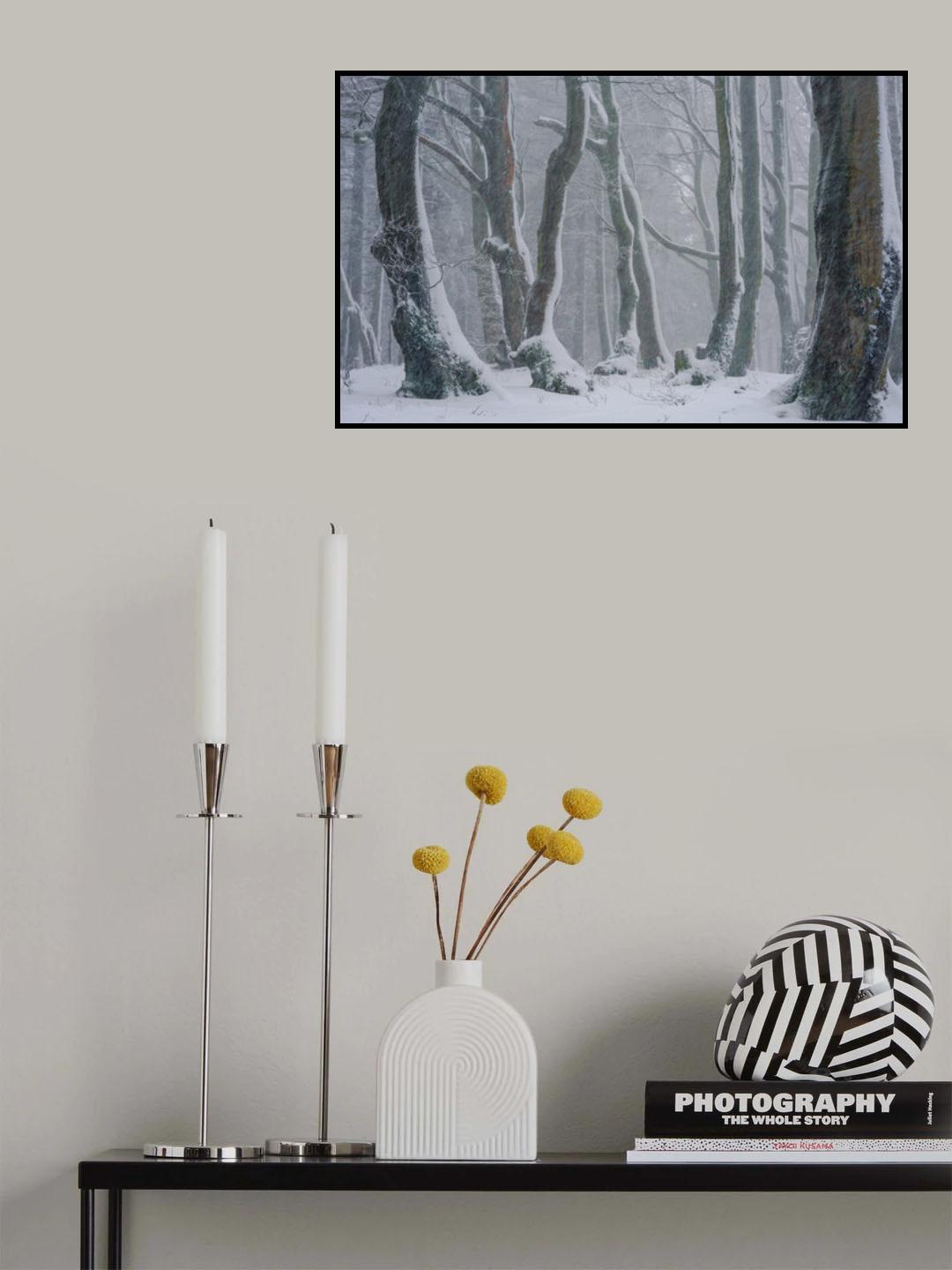 Breath of winter Poster och Canvastavla