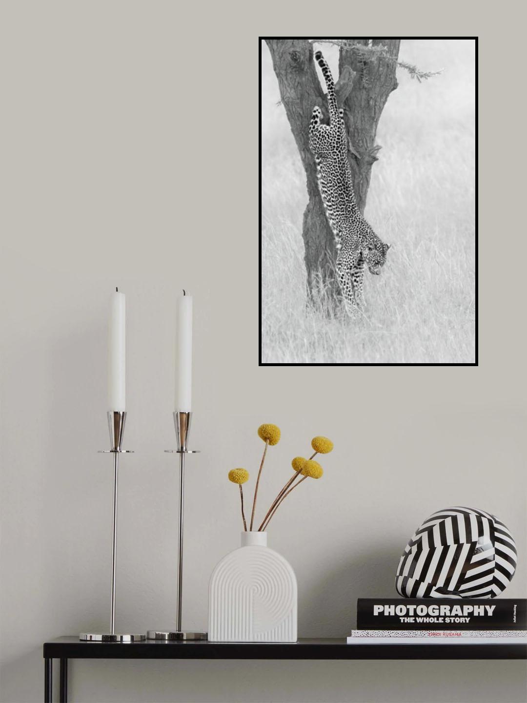 Beautiful Shape Poster och Canvastavla