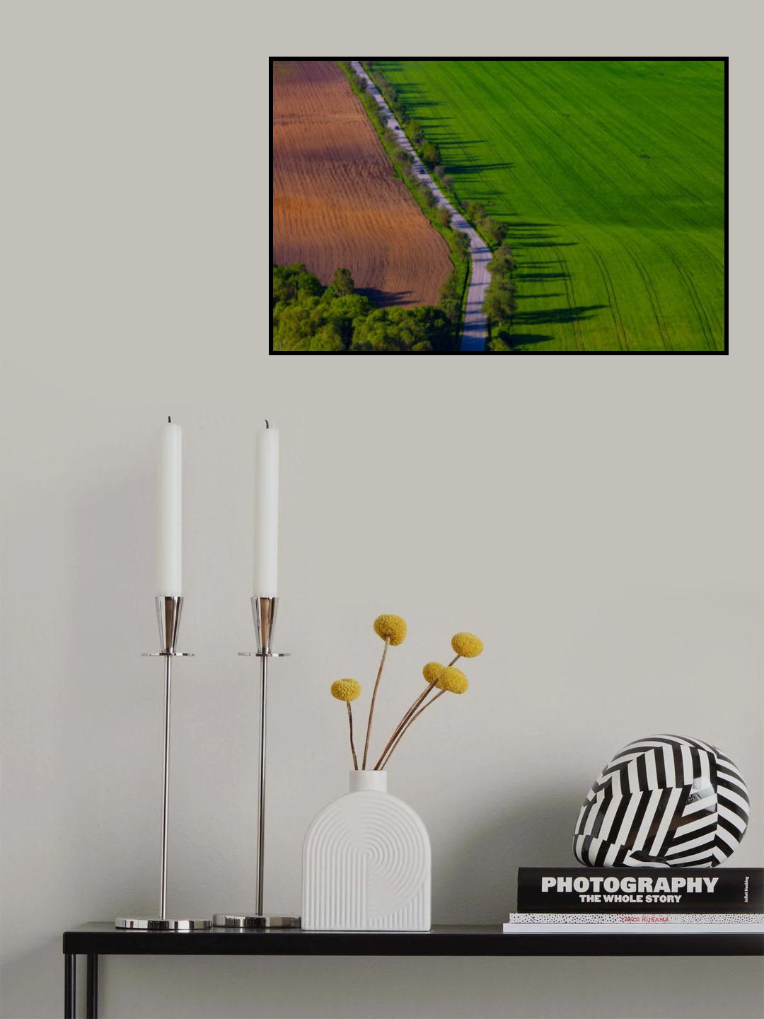 Summer lines Poster och Canvastavla