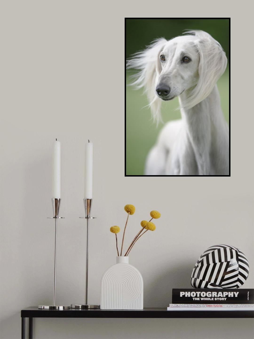 Jidu Poster och Canvastavla