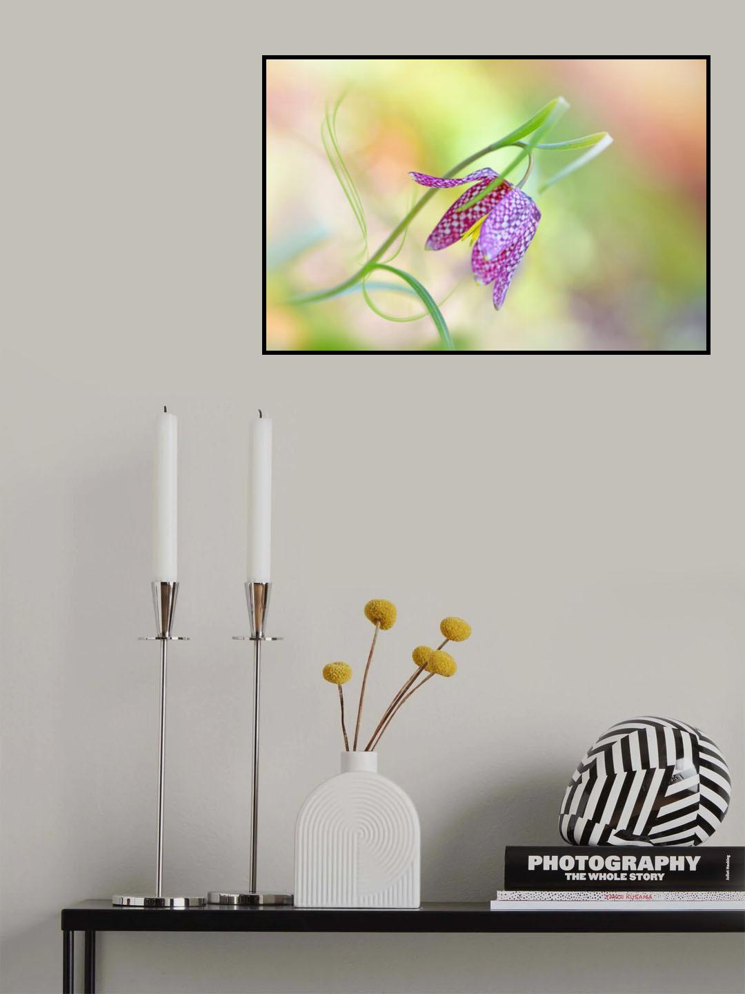 Snake's Head Fritillary Poster och Canvastavla