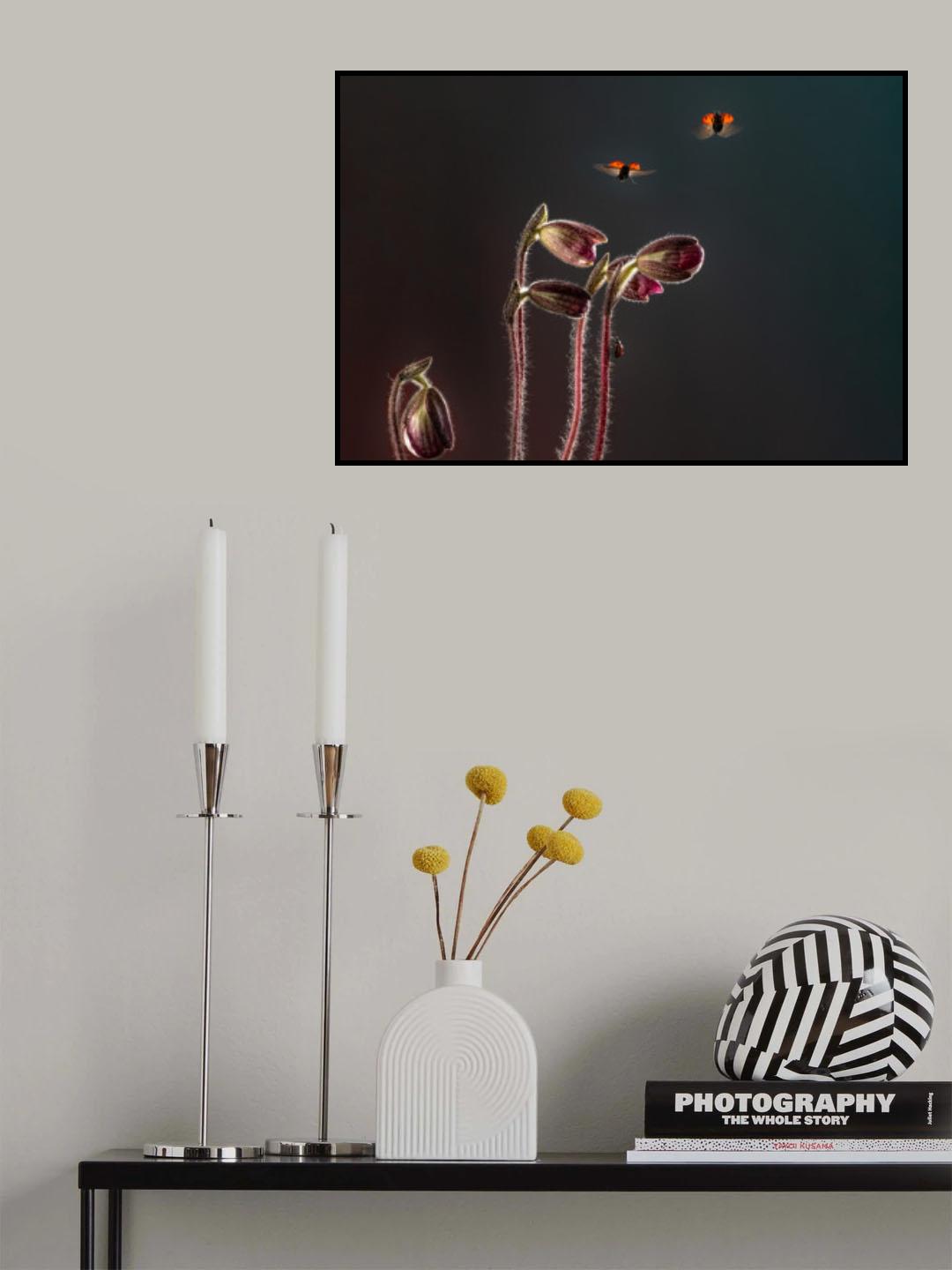 Happy lady bugs Poster och Canvastavla