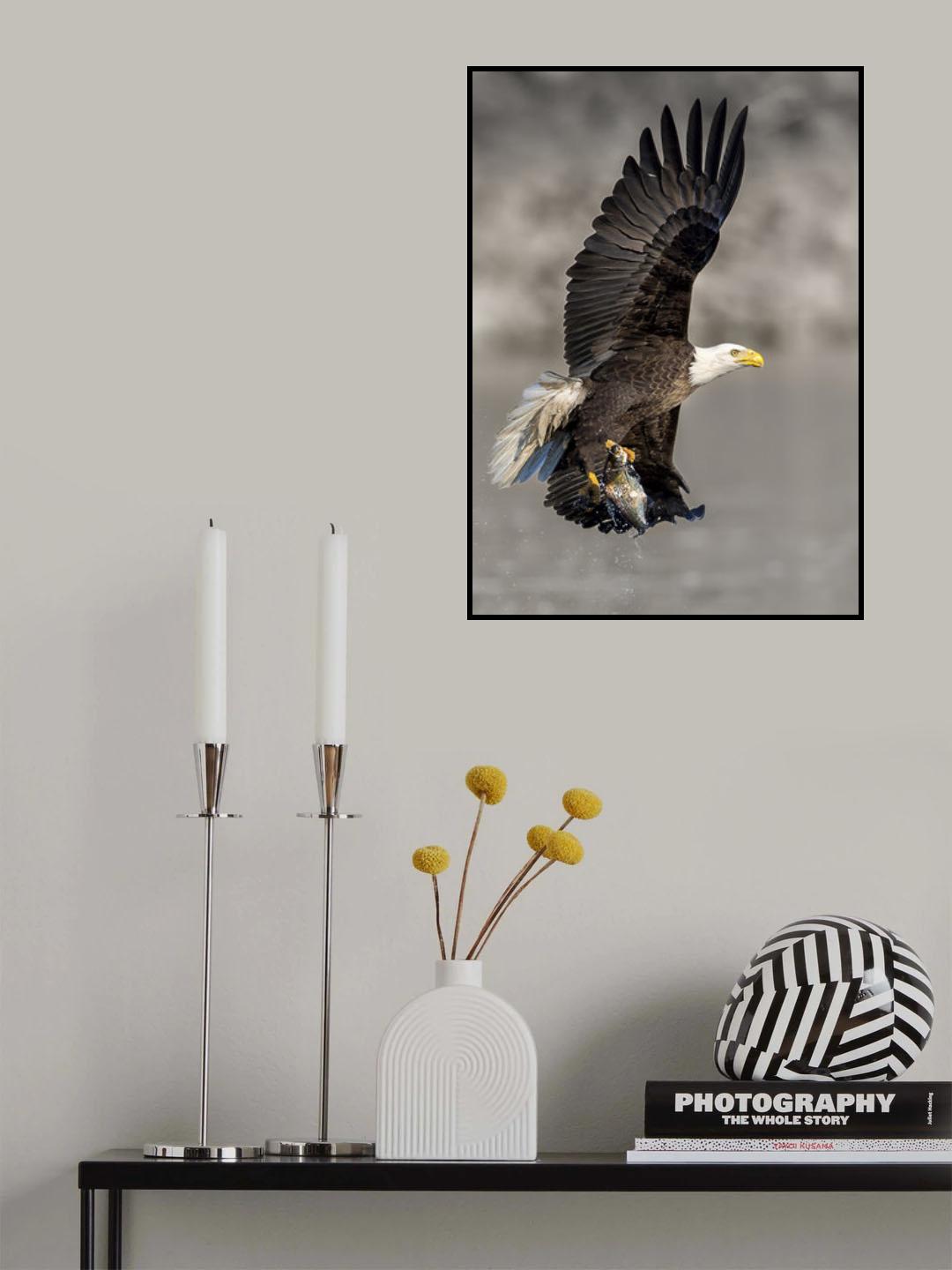 BaldEagle-7 Poster och Canvastavla