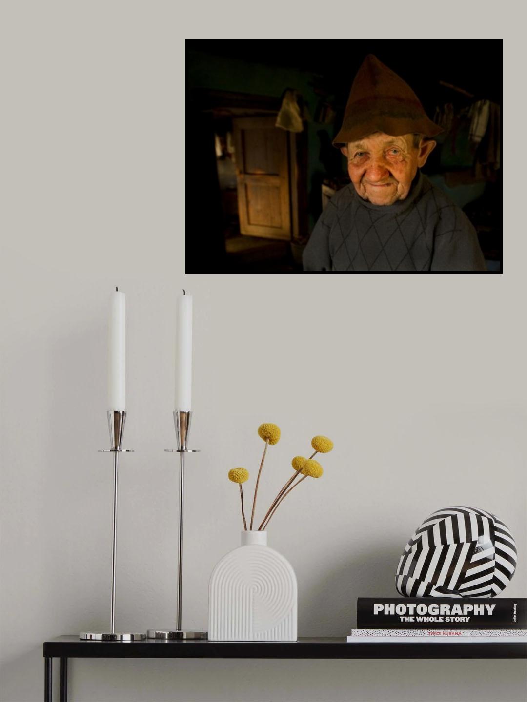 From the fairy tale (II) Poster och Canvastavla