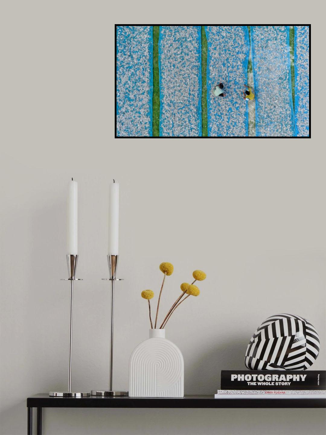 Sorting dried fishes Poster och Canvastavla