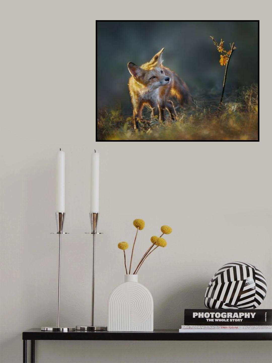 Enjoying Fall Foliage Poster och Canvastavla