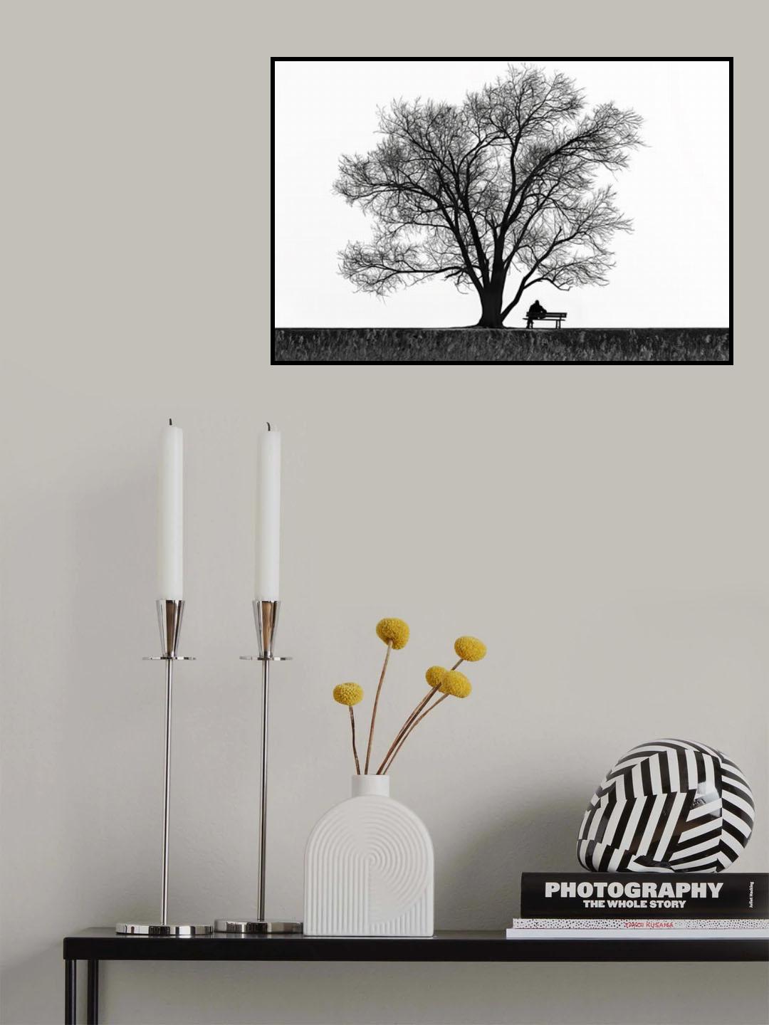 Pleasurable Solitude Poster och Canvastavla
