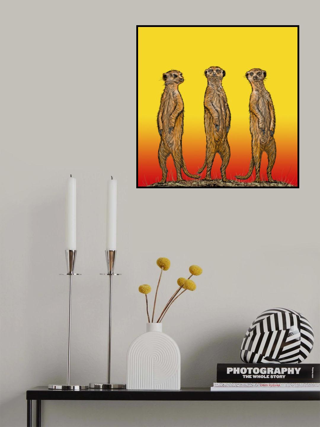 Meerkat Gang at Sunset Poster och Canvastavla