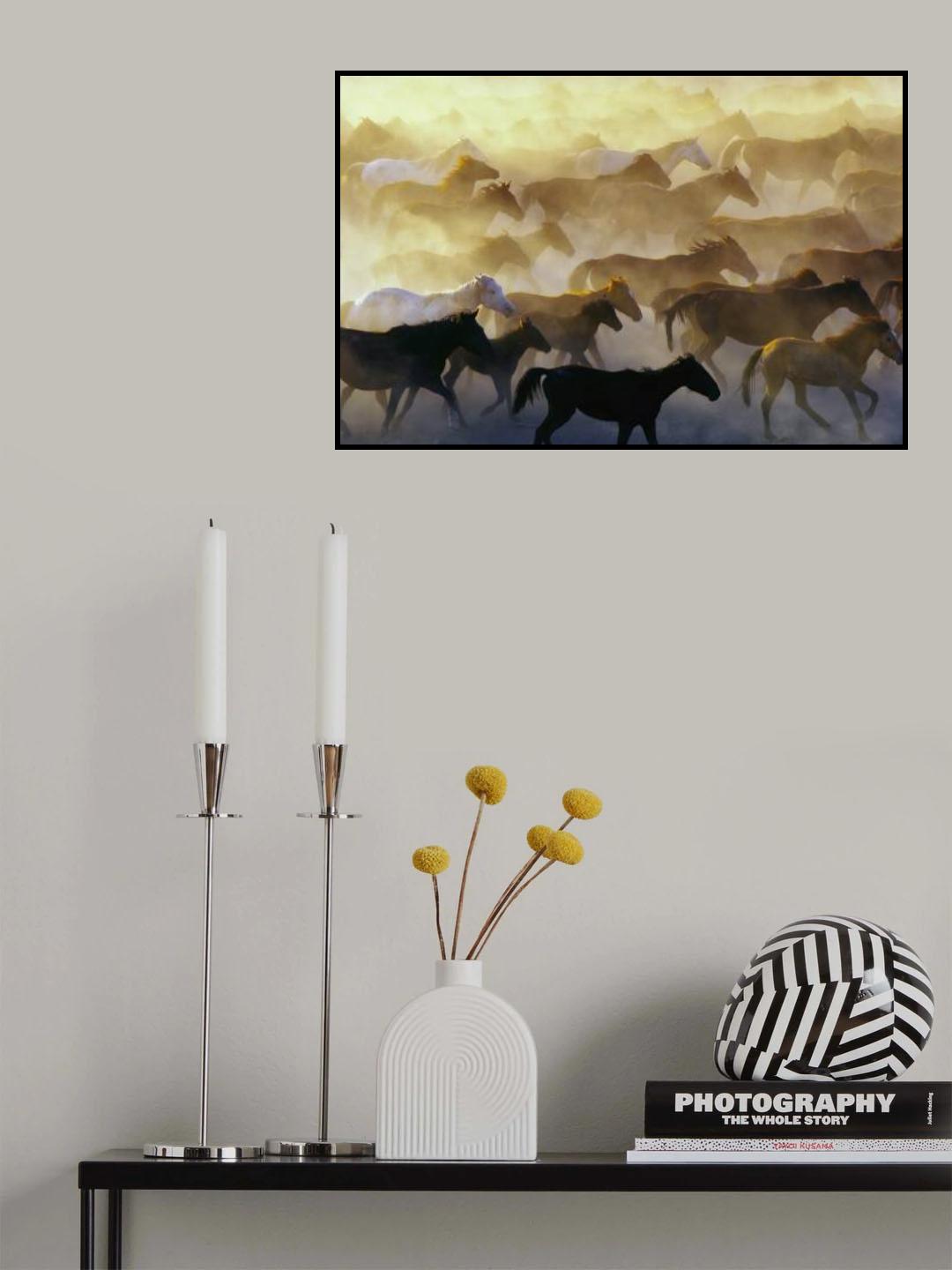 Wild horses Poster och Canvastavla