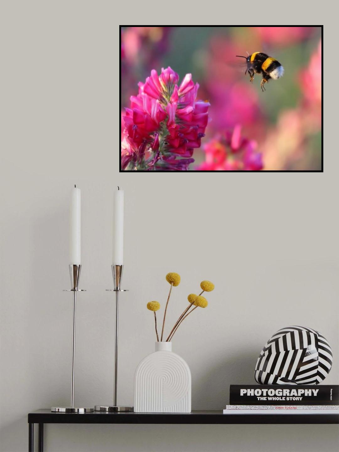 Bumble Bee Poster och Canvastavla