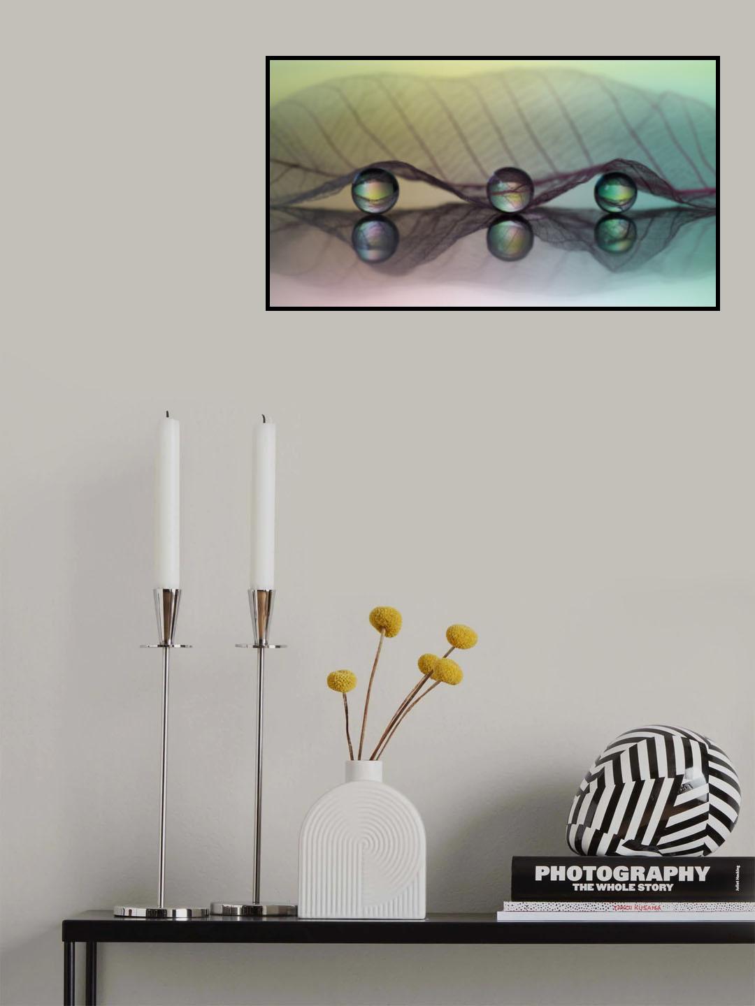 ●●● Poster och Canvastavla