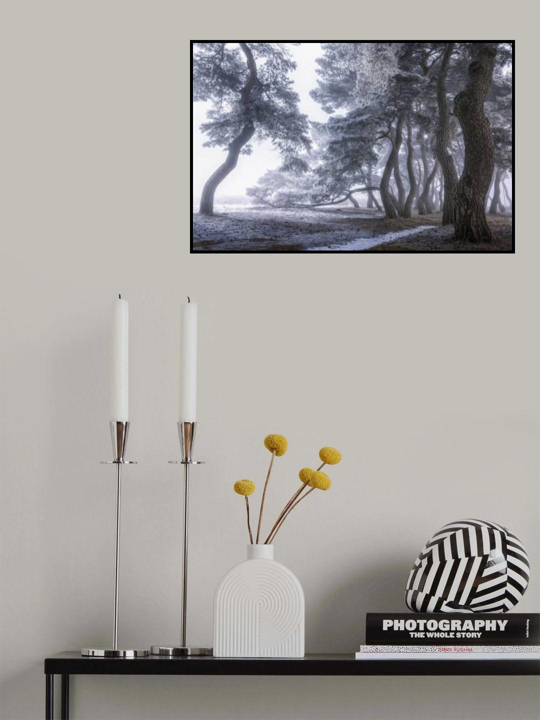 Hoarfrost on the tree Poster och Canvastavla