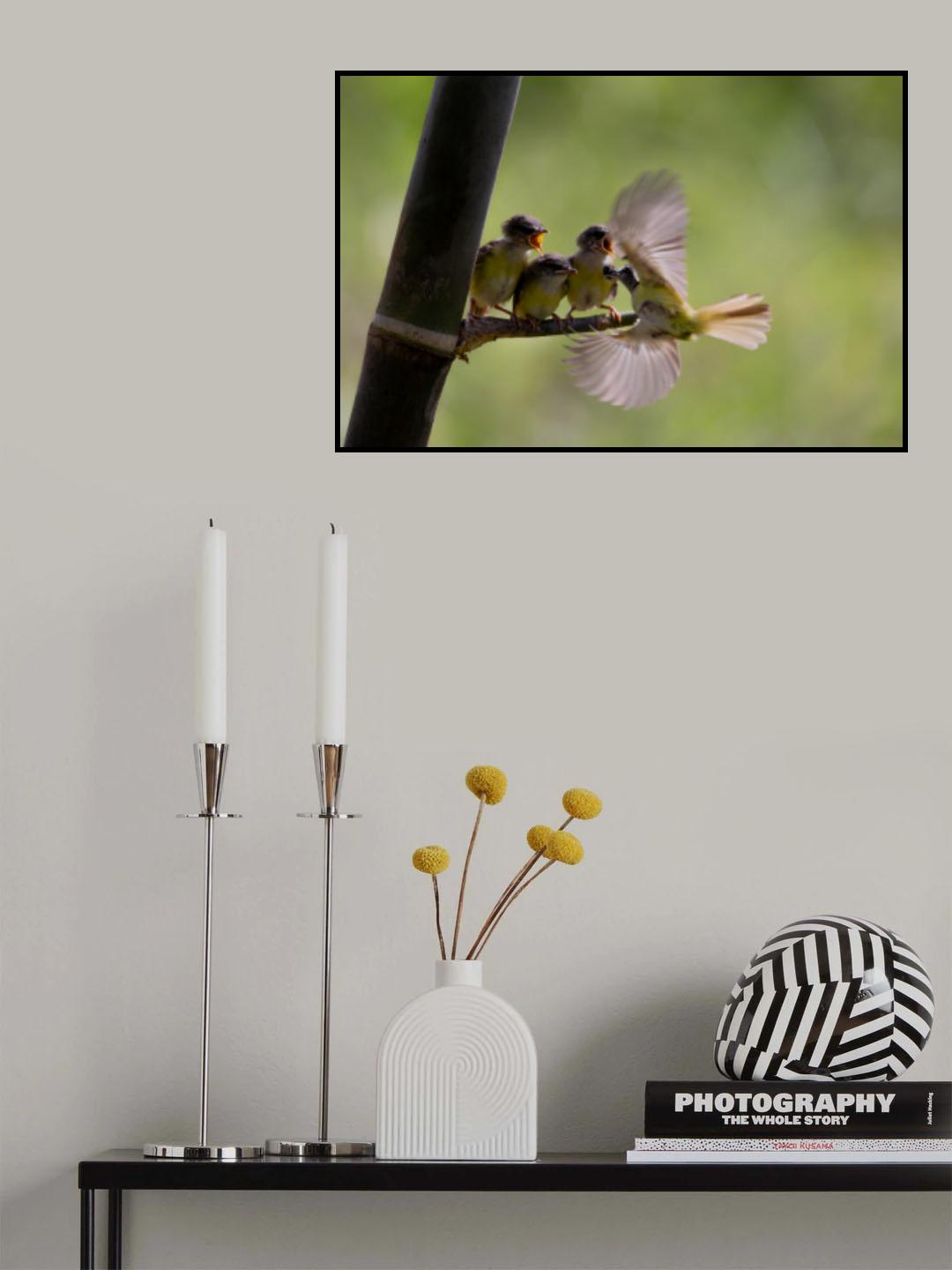 Poster och Canvastavla