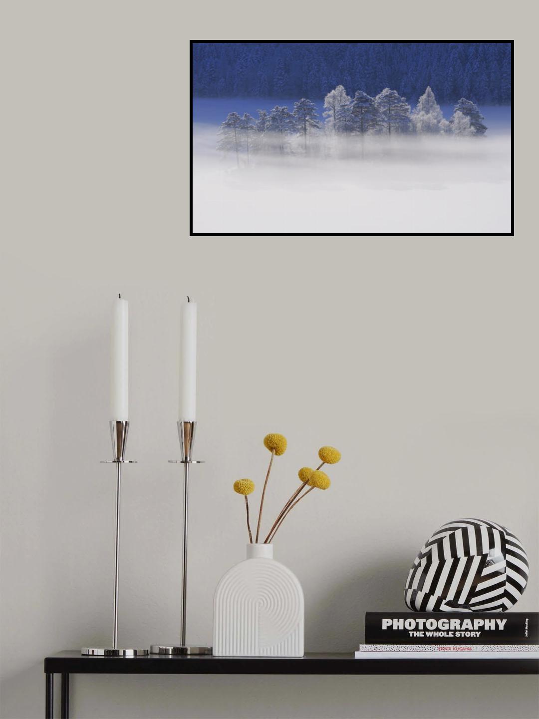 winter light Poster och Canvastavla