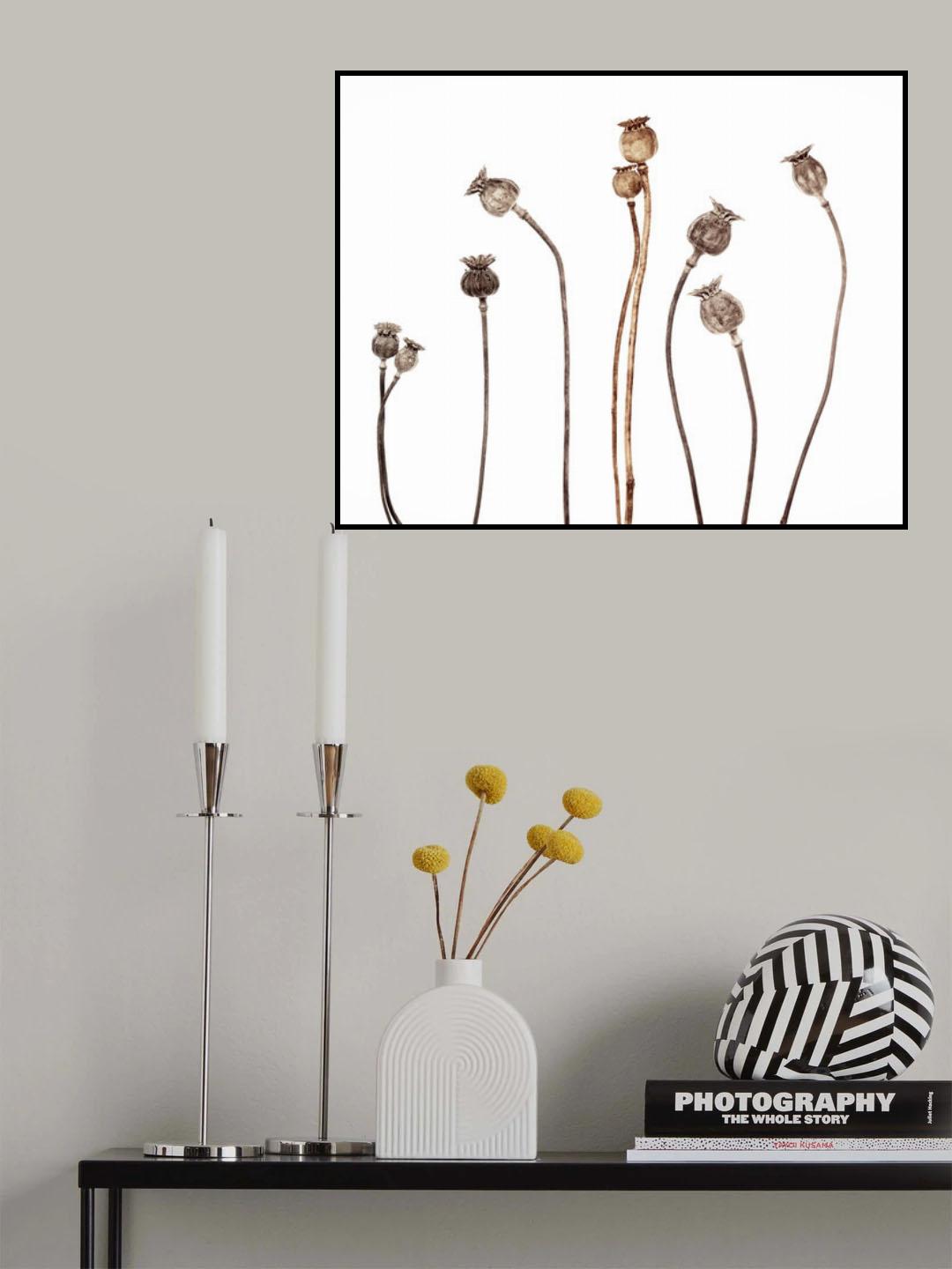 Poppies Poster och Canvastavla