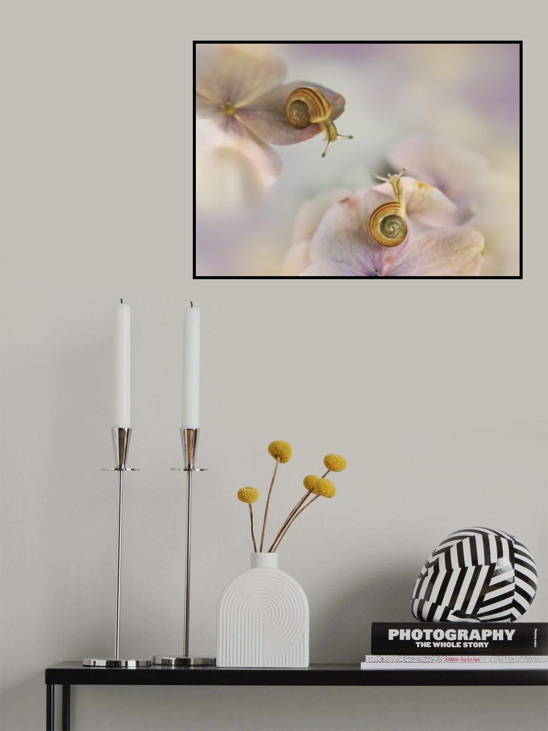 Little snails.... Poster och Canvastavla