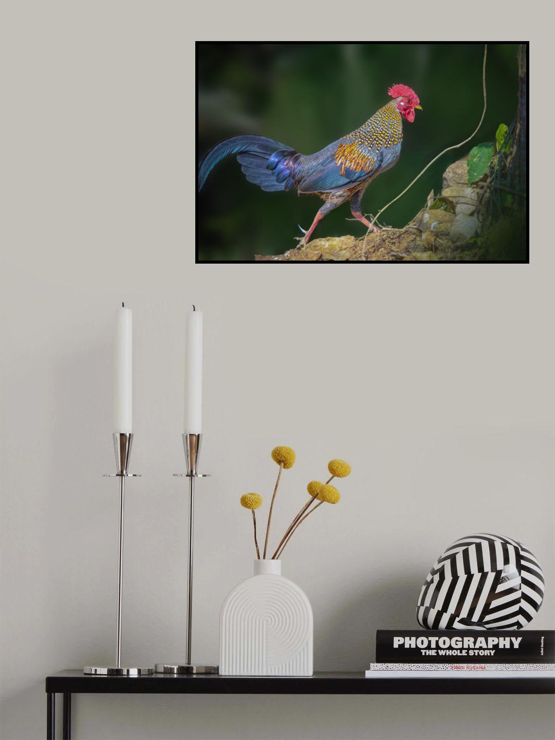 Grey Jungle Fowl Poster och Canvastavla