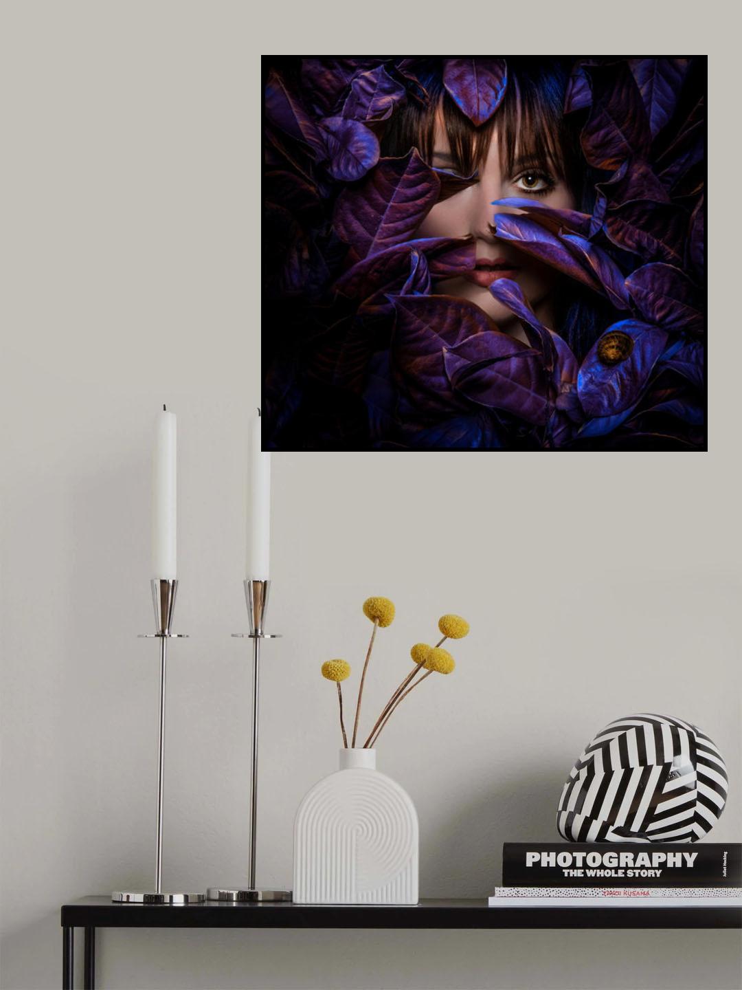...Aurora Poster och Canvastavla