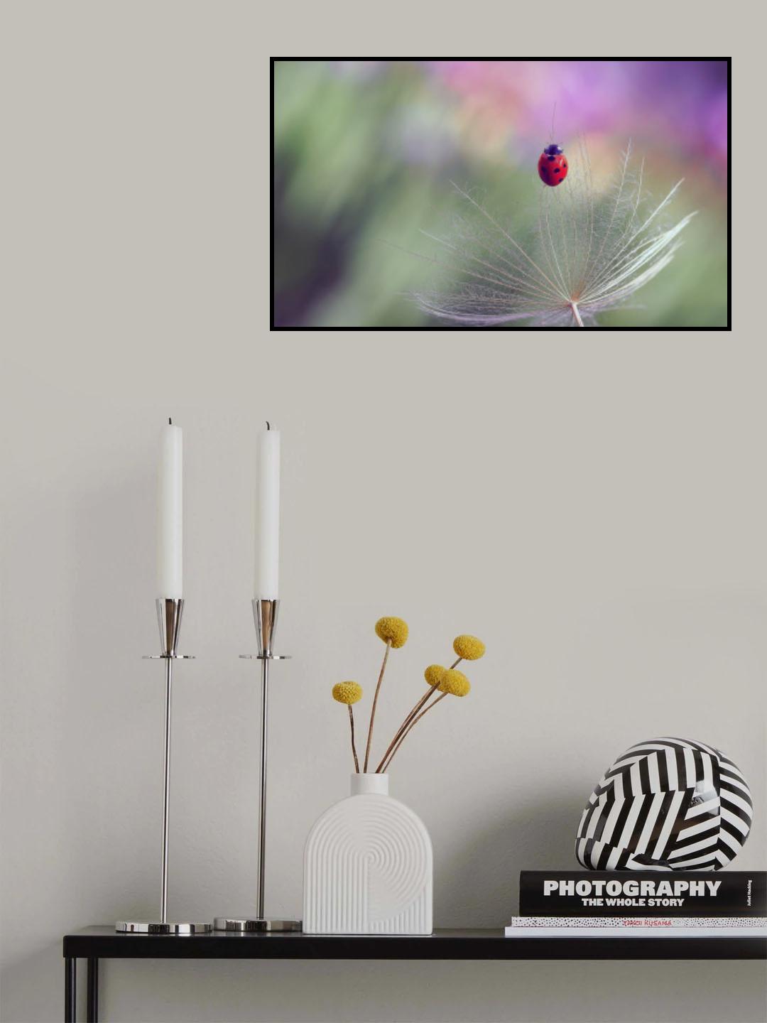 Spectator of the Northern Lights... Poster och Canvastavla