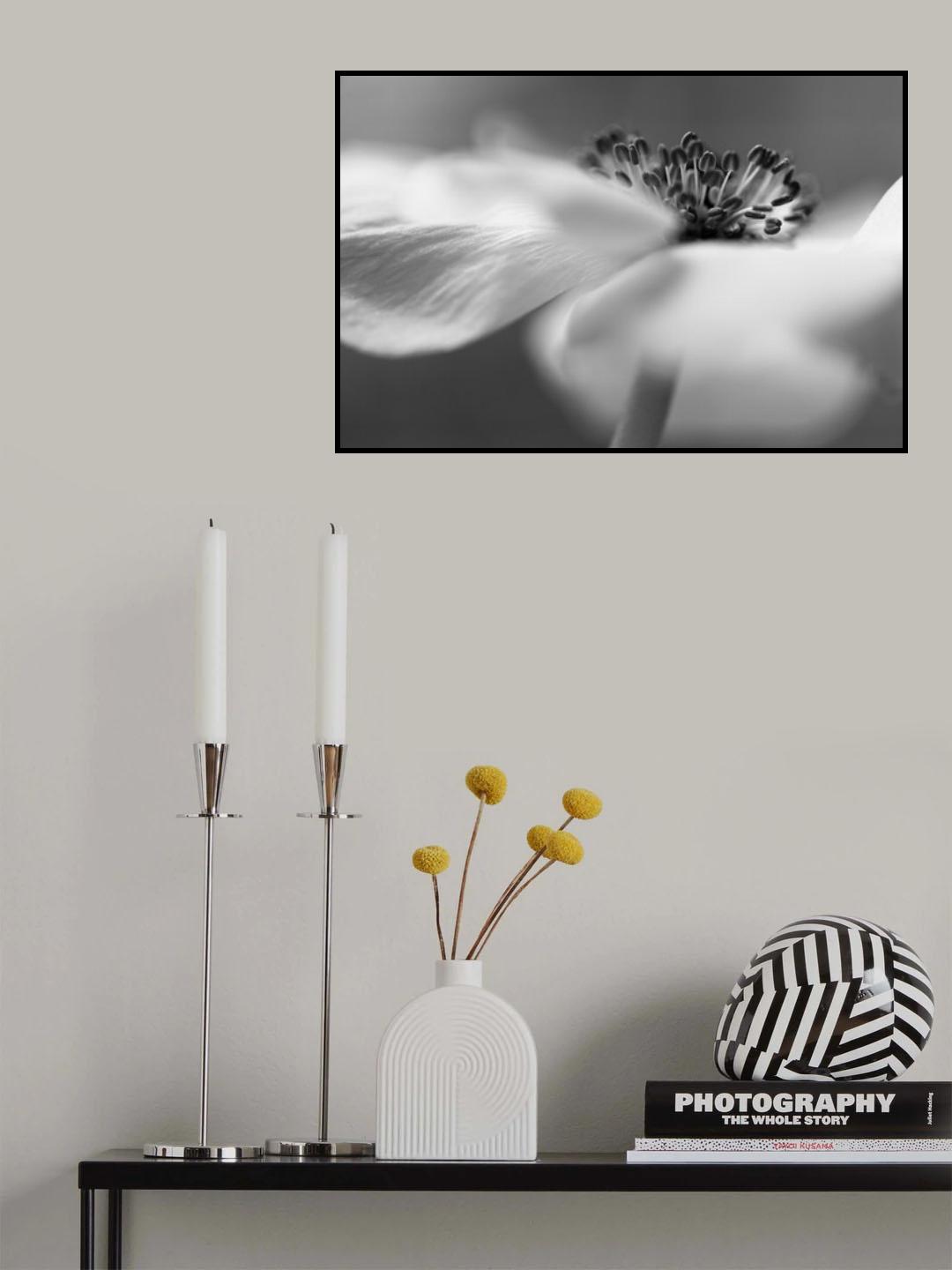 Poster och Canvastavla