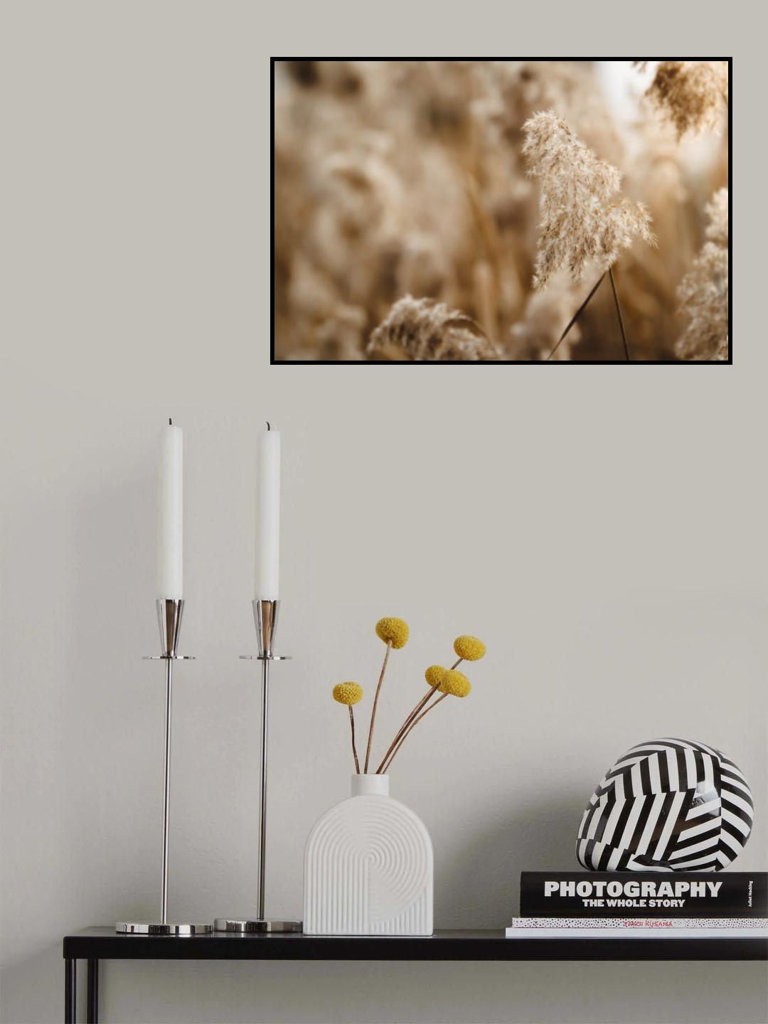 reed flower Poster och Canvastavla