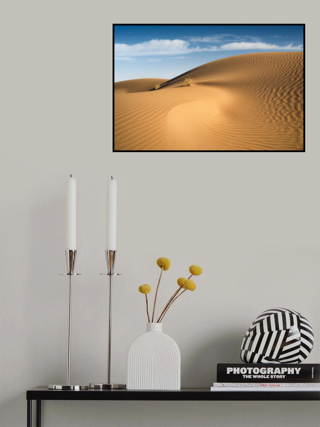 Curves Poster och Canvastavla