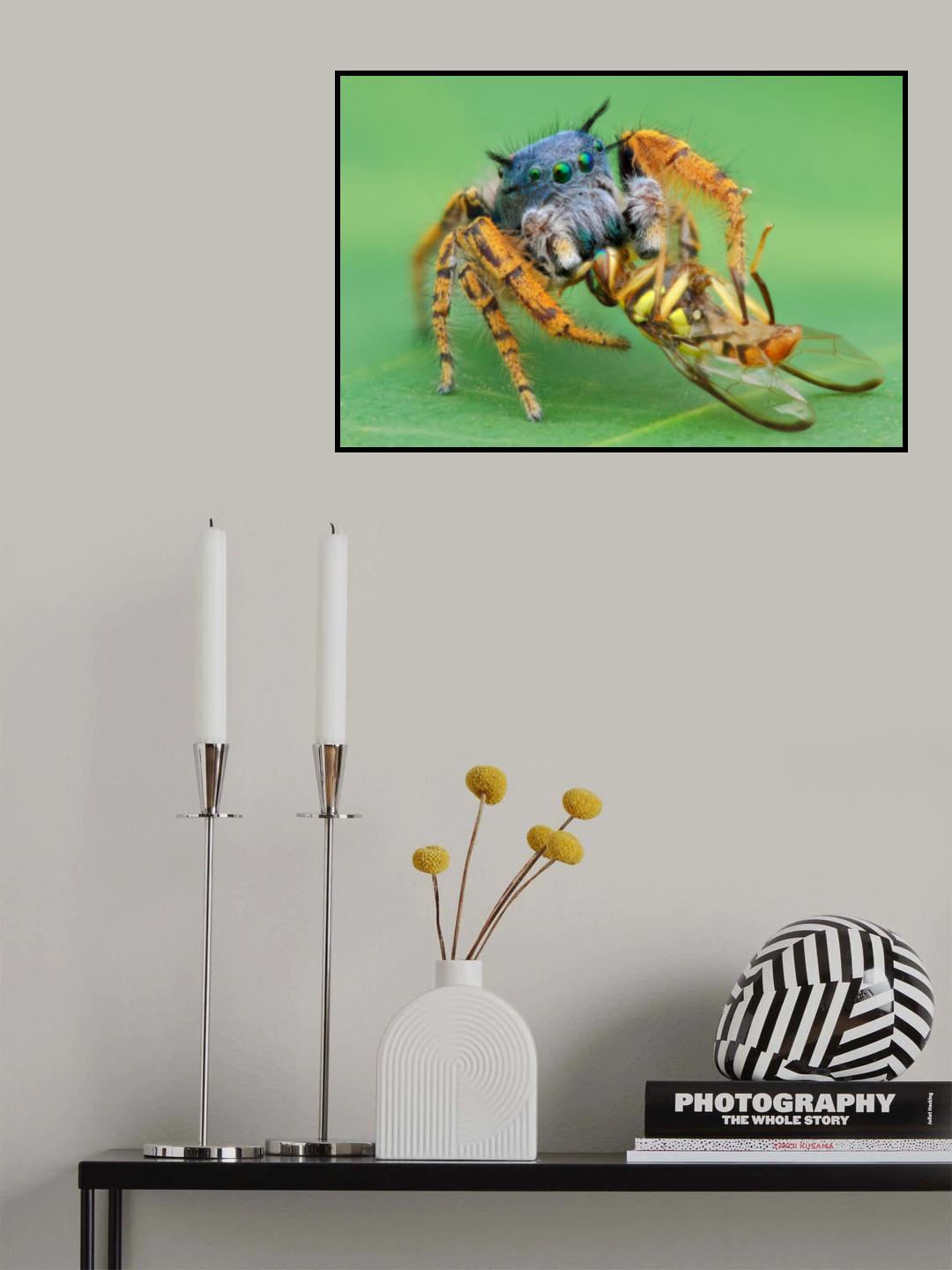 pidhipus mystaceus with fruitfly Poster och Canvastavla