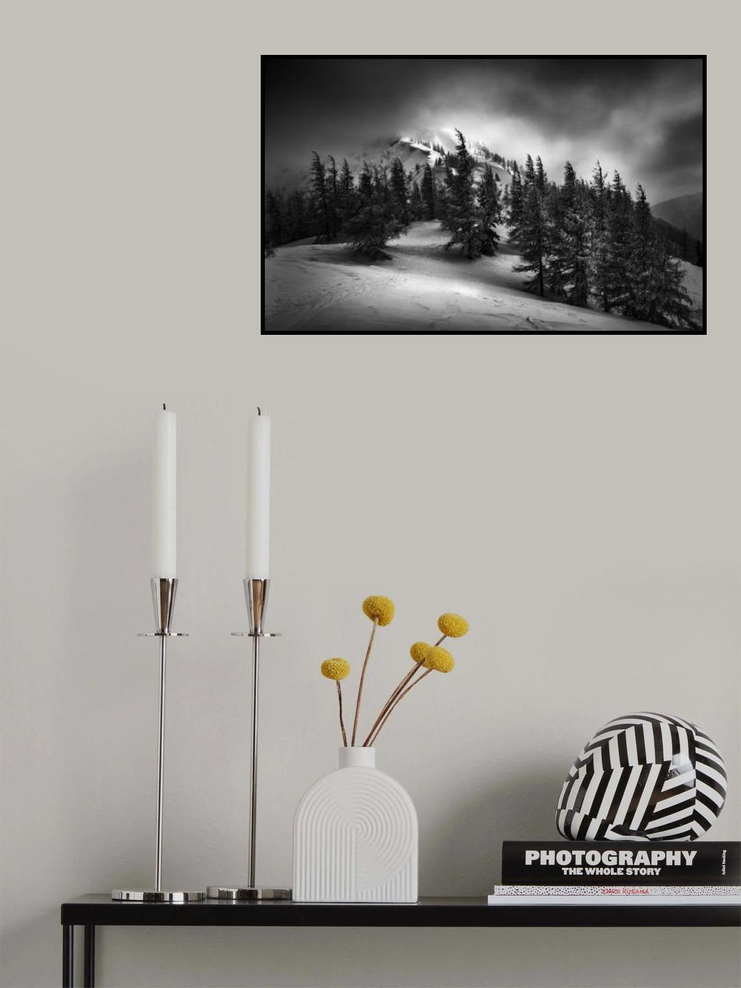 Windy & cold Poster och Canvastavla