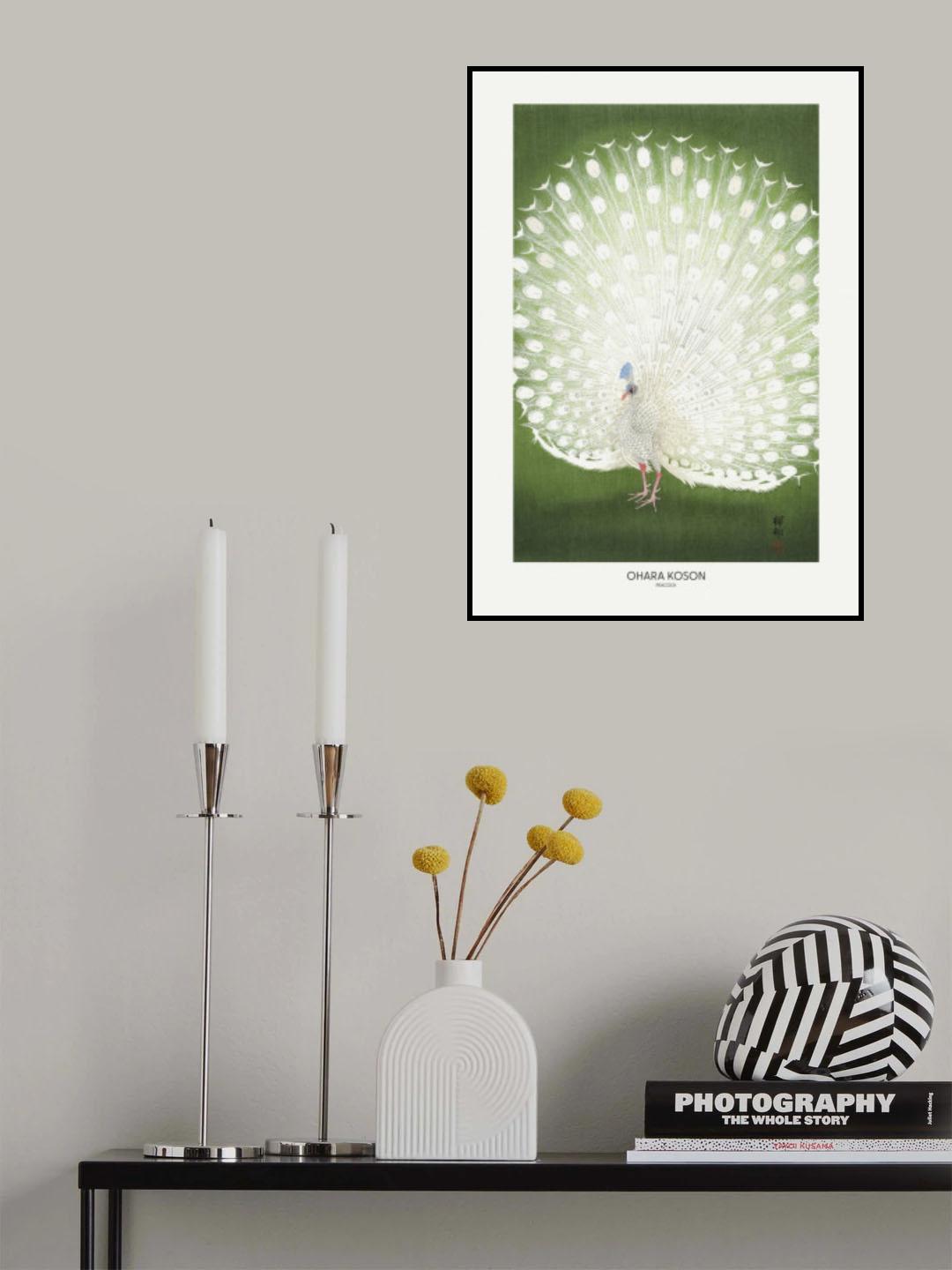 Peacock - Cropped Poster och Canvastavla