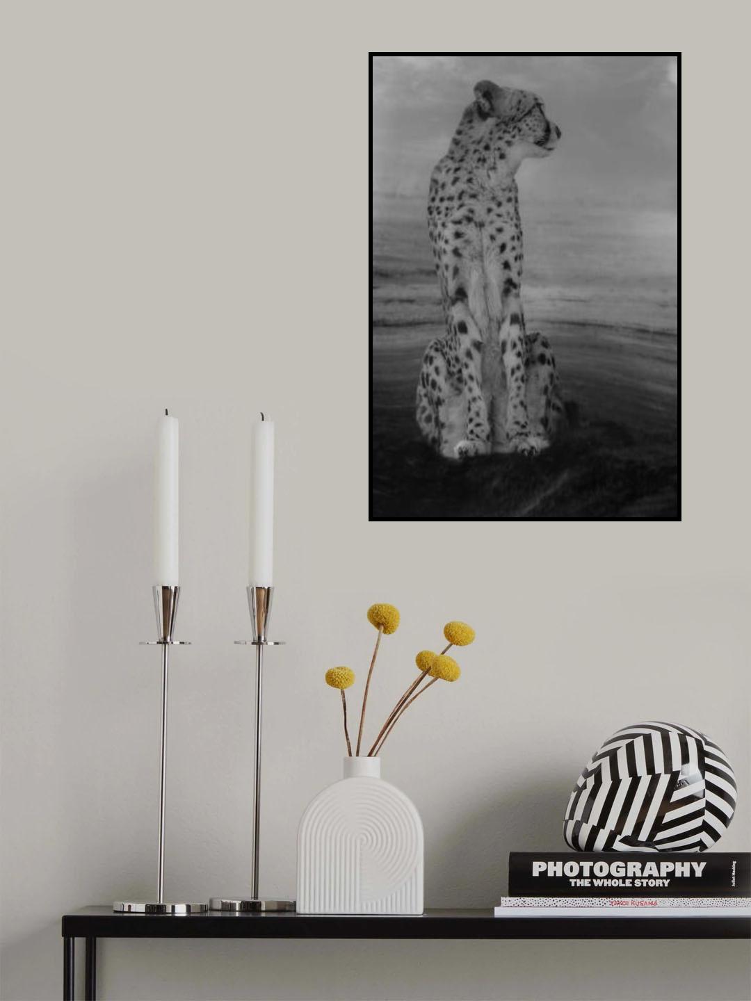 Cheetah on the Watch Poster och Canvastavla