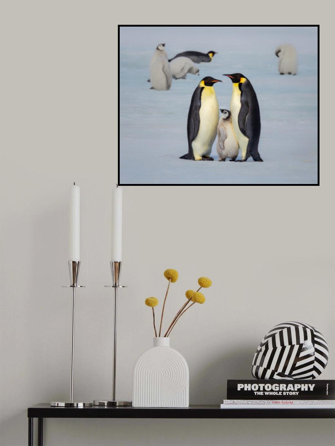 Family Poster och Canvastavla