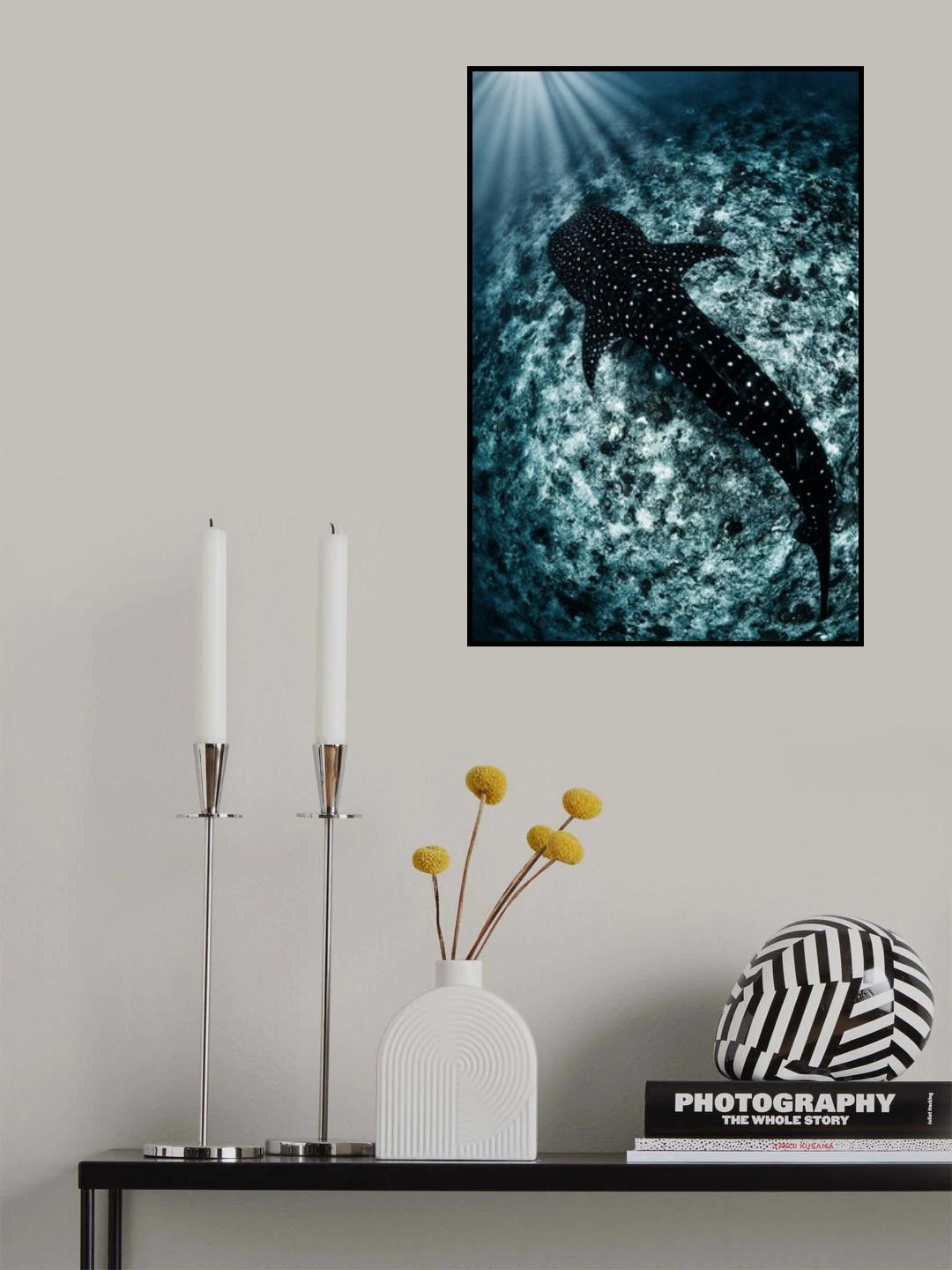 Ocean line Poster och Canvastavla