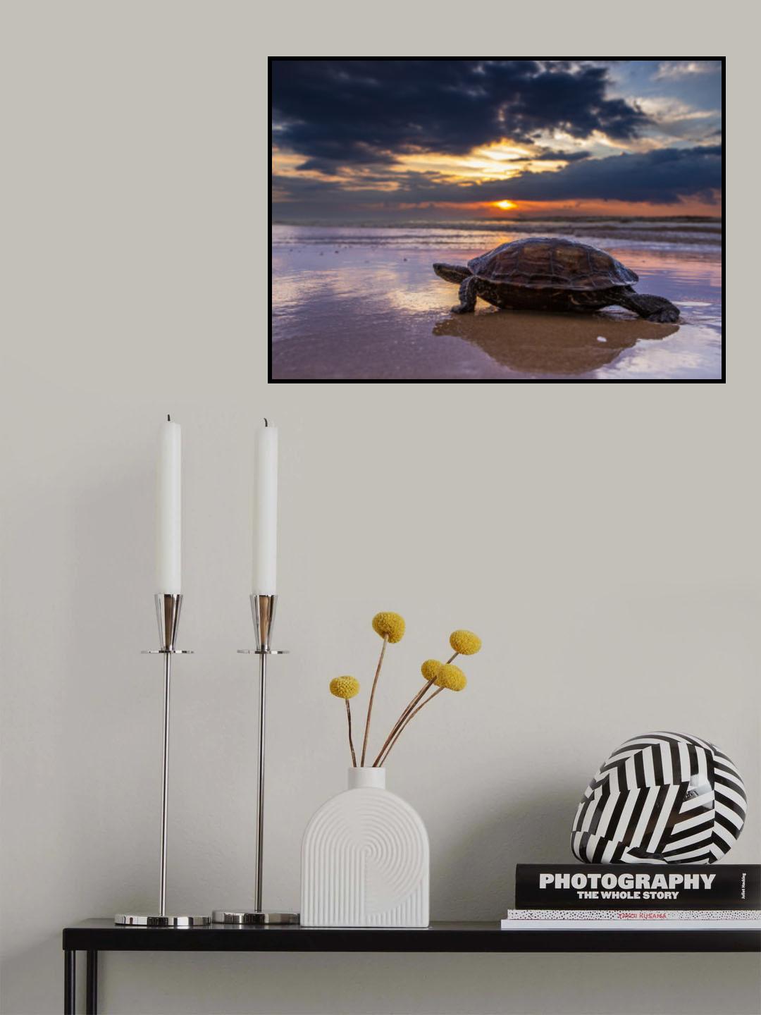 Walking on the beach Poster och Canvastavla