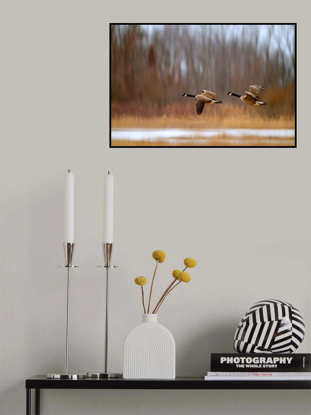 The wind in March Poster och Canvastavla
